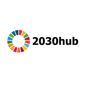 2030hub logo