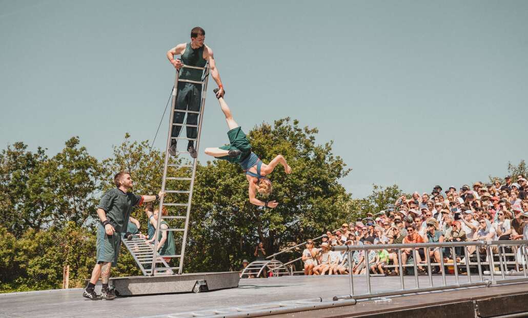 Acrobats on a ladder